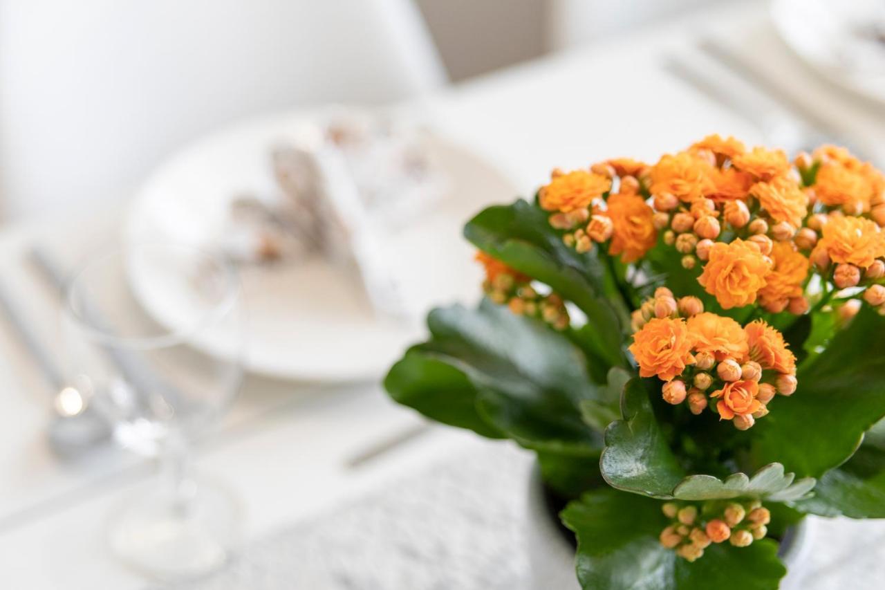 Vasko Luxurious Suites, Kelo Rovaniemi Esterno foto